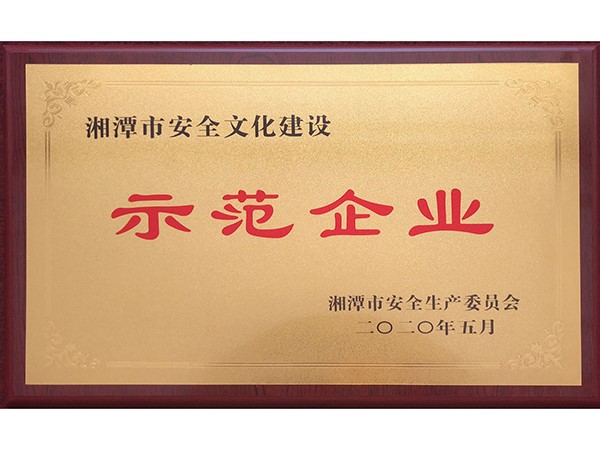 湘潭市安全文化建設示范企業(yè)